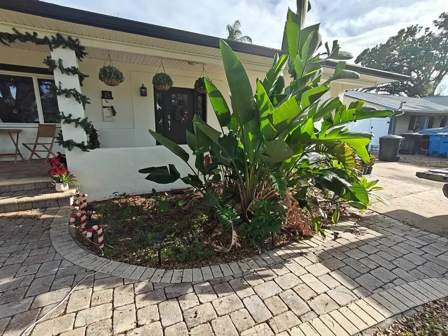 Before garden bed cleanup in Gulfport Florida