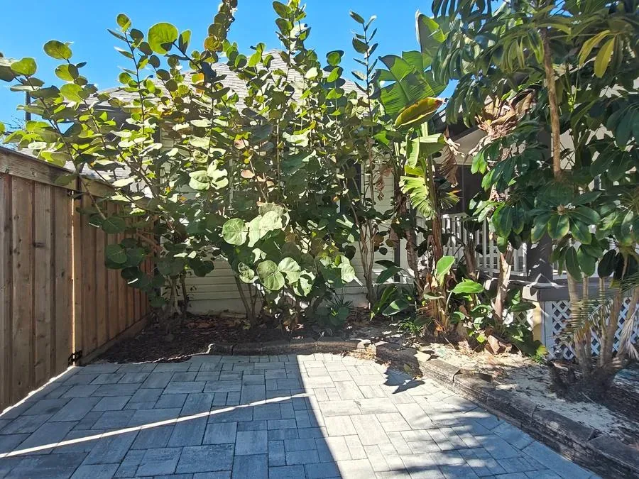 Before overgrown sea grape trees left side yard St Petersburg Florida