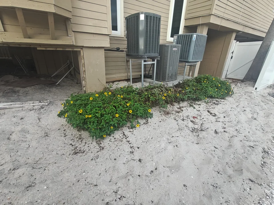 Overgrown beach access area before shell path installation Florida